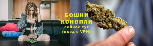 метадон Горнозаводск