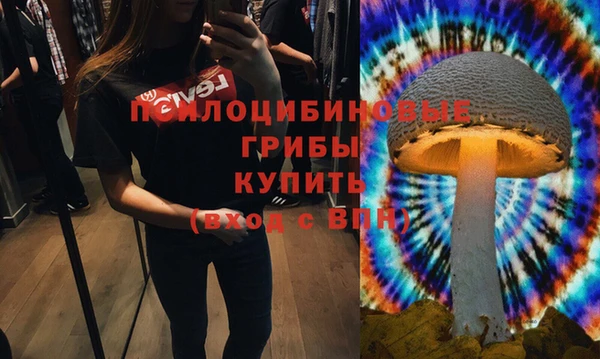 метадон Горнозаводск