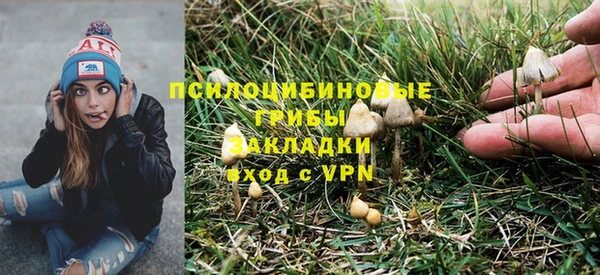 соль ск Горняк