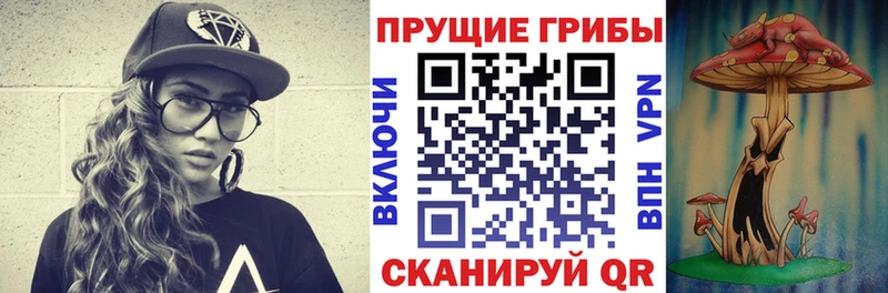 наркота  Меленки  Галлюциногенные грибы ЛСД 